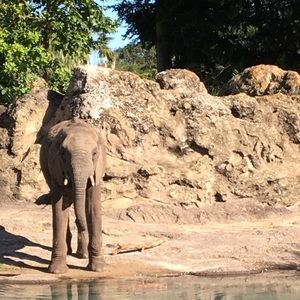 Meet your Posher, Carly